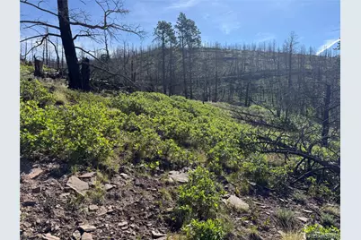 Lot 377 Powers Road, Fort Garland, CO 81133 - Photo 48