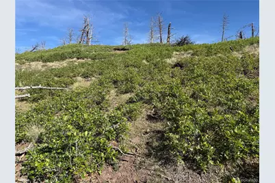 Lot 377 Powers Road, Fort Garland, CO 81133 - Photo 44