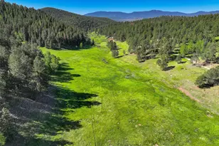13116 S Noka Trail, Pine, CO 80470 - Photo 48