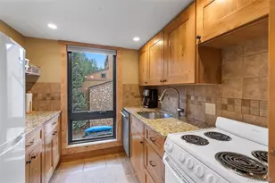 205 Primrose Path, Breckenridge, CO 80424 - Photo 14