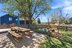 11064 Blackwolf Ln, Parker, CO 80138 - Photo 42
