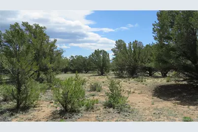 28922 Timber Ridge, Buena Vista, CO 81211 - Photo 38