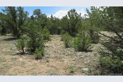 28922 Timber Ridge, Buena Vista, CO 81211 - Photo 30