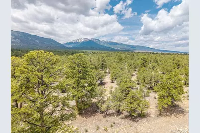 28922 Timber Ridge, Buena Vista, CO 81211 - Photo 14