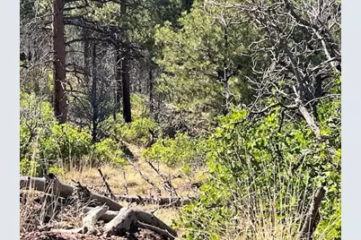 Lot 369-370 Powers Road, Fort Garland, CO 81133 - Photo 16