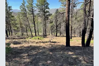 Lot 369-370 Powers Road, Fort Garland, CO 81133 - Photo 22