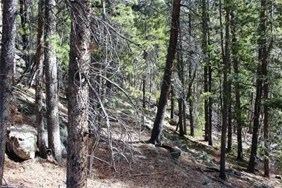 4-2 Lamertine Road, Idaho Springs, CO 80452 - Photo 2