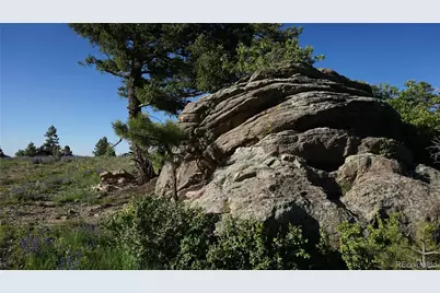 13864 N Trail Circle, Littleton, CO 80127 - Photo 4