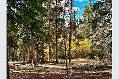 102 Gold Trail, Fairplay, CO 80440 - Photo 2