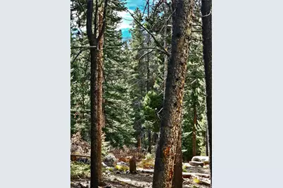 102 Gold Trail, Fairplay, CO 80440 - Photo 12