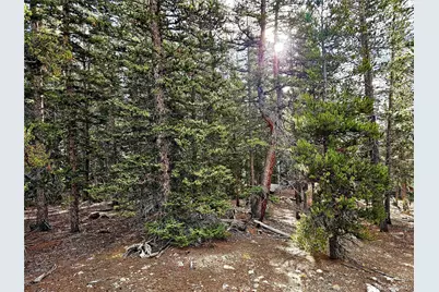 102 Gold Trail, Fairplay, CO 80440 - Photo 10