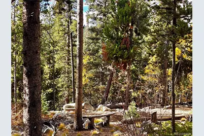 102 Gold Trail, Fairplay, CO 80440 - Photo 6