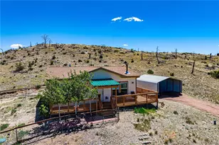 247 Shannon Trail, Cotopaxi, CO 81223 - Photo 6