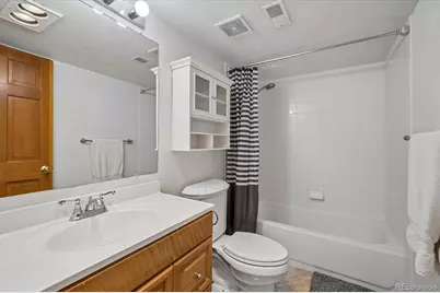 10003 Armadillo Drive, Lone Tree, CO 80124 - Photo 28