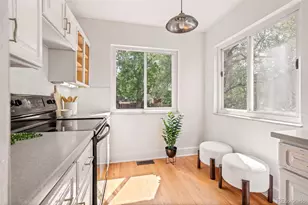 906 Monroe St, Denver, CO 80206 - Photo 24