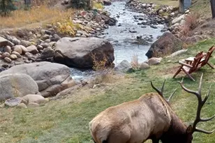 1400 David Dr, Estes Park, CO 80517 - Photo 38