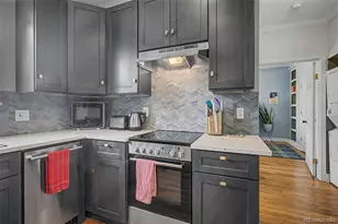 610 N Logan Street, Denver, CO 80203 - Photo 8