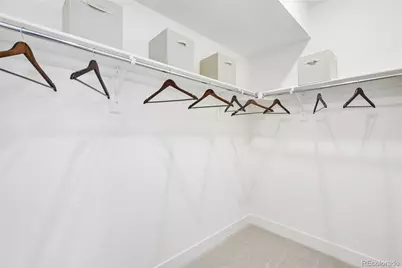 13280 Finnhorse Street, Parker, CO 80134 - Photo 44