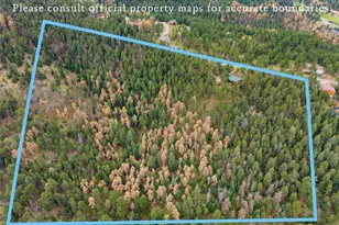29661 Rainbow Hill Rd, Evergreen, CO 80439 - Photo 46