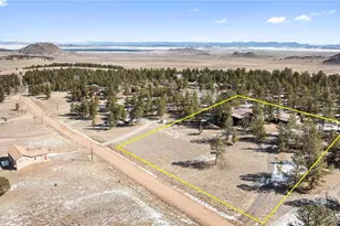 1806 Wagon Wheel Rd, Hartsel, CO 80449 - Photo 50