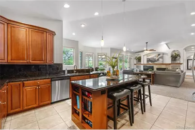 276 Ember Place, Castle Rock, CO 80104 - Photo 18