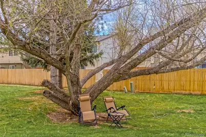 329 Butch Cassidy Drive, Fort Collins, CO 80524 - Photo 36