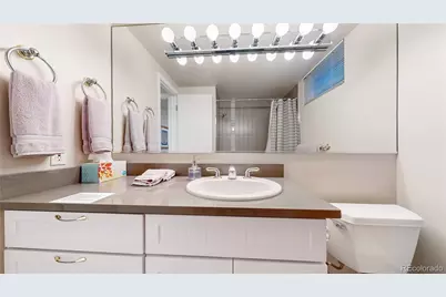 463 Locust Street, Denver, CO 80220 - Photo 38