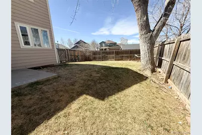 894 Durum Street, Windsor, CO 80550 - Photo 24