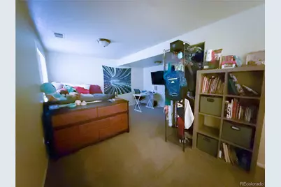 894 Durum Street, Windsor, CO 80550 - Photo 20