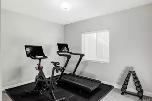 6250 Stable View St, Castle Pines, CO 80108 - Photo 28