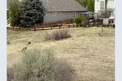 2372 Woodhouse Lane, Castle Rock, CO 80109 - Photo 38