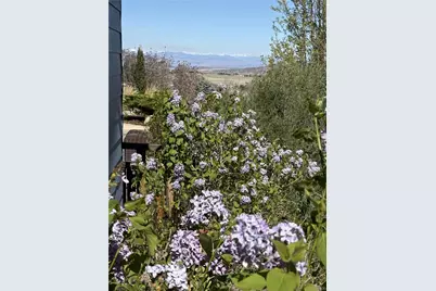 2372 Woodhouse Lane, Castle Rock, CO 80109 - Photo 36