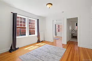 1137 N Sherman Street, Denver, CO 80203 - Photo 4