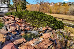 10038 Deer Creek St, Highlands Ranch, CO 80129 - Photo 28