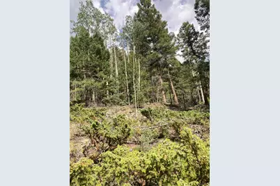 Lot 6461 Jacquez Road, San Luis, CO 81152 - Photo 10