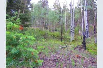 Lot 6461 Jacquez Road, San Luis, CO 81152 - Photo 4