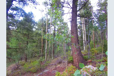 Lot 6461 Jacquez Road, San Luis, CO 81152 - Photo 6