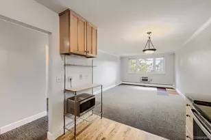 969 S Pearl St, Denver, CO 80209 - Photo 12