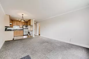 969 S Pearl St, Denver, CO 80209 - Photo 14