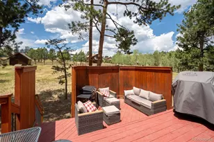 541 Beaver Trail, Bailey, CO 80421 - Photo 42