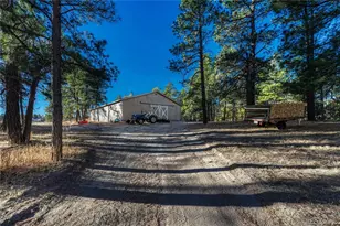 37766 Timber Dr, Elizabeth, CO 80107 - Photo 4