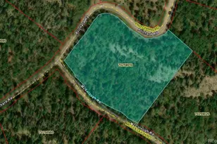 Lot 2746 Pritchard Rd, Fort Garland, CO 81133 - Photo 1