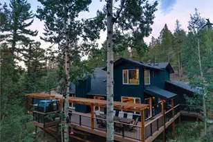 11203 S Barney Gulch Rd, Conifer, CO 80433 - Photo 8