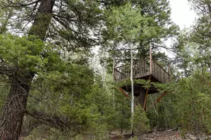 11203 S Barney Gulch Rd, Conifer, CO 80433 - Photo 40
