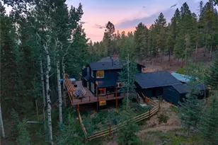 11203 S Barney Gulch Rd, Conifer, CO 80433 - Photo 10