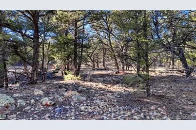 1888 6th Tri, Cotopaxi, CO 81223 - Photo 40