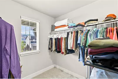 9777 Banner Peak Street, Littleton, CO 80125 - Photo 36