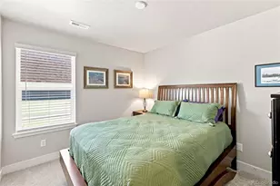 9777 Banner Peak St, Littleton, CO 80125 - Photo 24