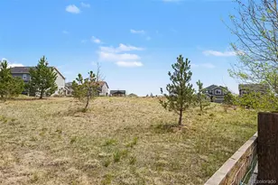 964 White Leaf Cir, Castle Rock, CO 80108 - Photo 32