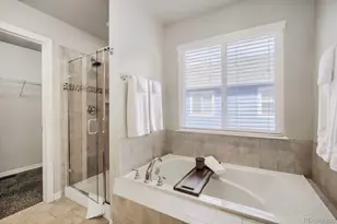 1778 Avery Plaza St, Severance, CO 80550 - Photo 18